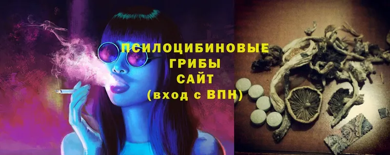 Псилоцибиновые грибы Psilocybe  купить  цена  Амурск 